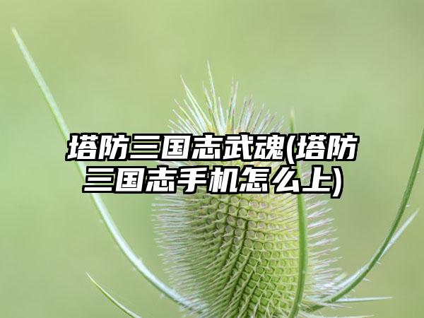 塔防三国志武魂(塔防三国志手机怎么上)