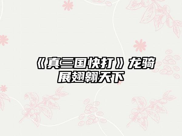 《真三国快打》龙骑展翅翱天下