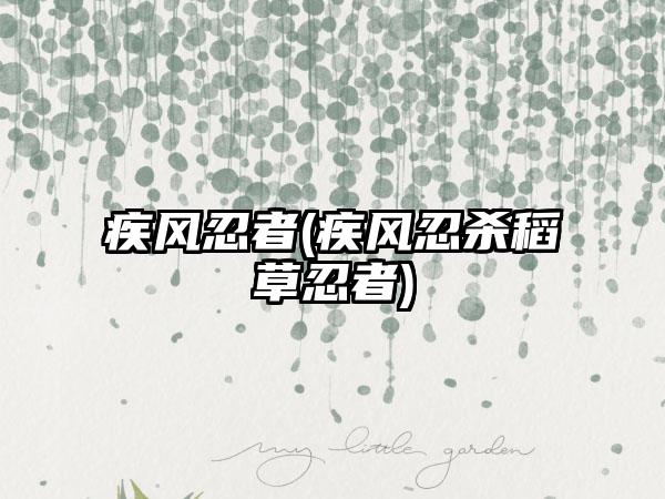 疾风忍者(疾风忍杀稻草忍者)