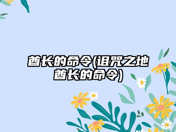 酋长的命令(诅咒之地酋长的命令)