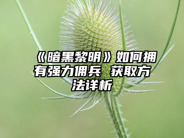 《暗黑黎明》如何拥有强力佣兵 获取方法详析