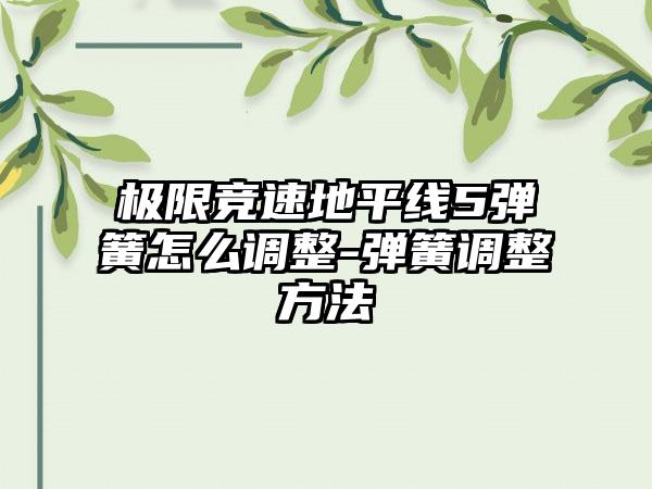 极限竞速地平线5弹簧怎么调整-弹簧调整方法