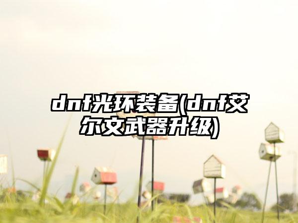 dnf光环装备(dnf艾尔文武器升级)
