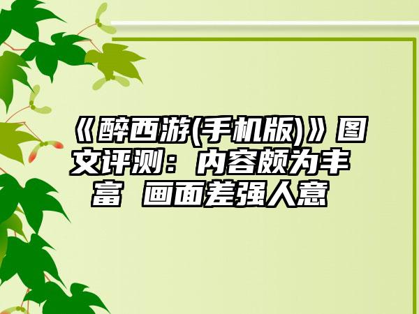 《醉西游(手机版)》图文评测：内容颇为丰富 画面差强人意