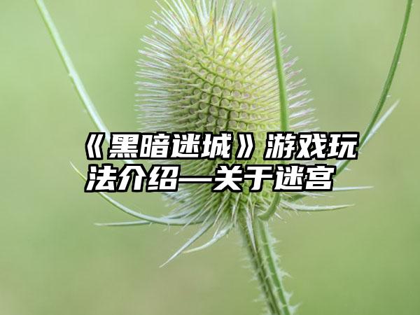 《黑暗迷城》游戏玩法介绍—关于迷宫