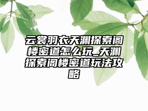 云裳羽衣天渊探索阁楼密道怎么玩_天渊探索阁楼密道玩法攻略