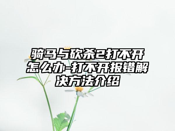 骑马与砍杀2打不开怎么办-打不开报错解决方法介绍