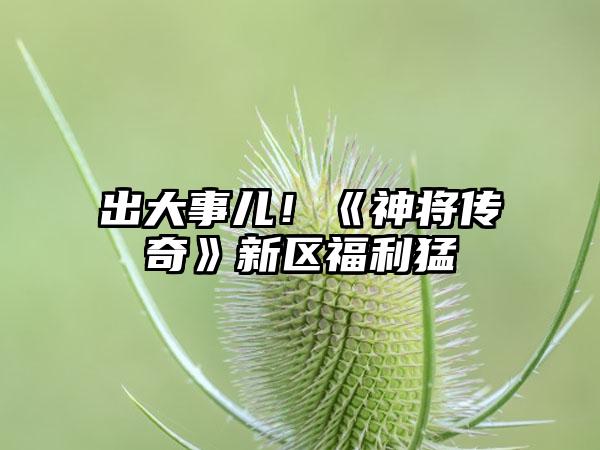 出大事儿！《神将传奇》新区福利猛