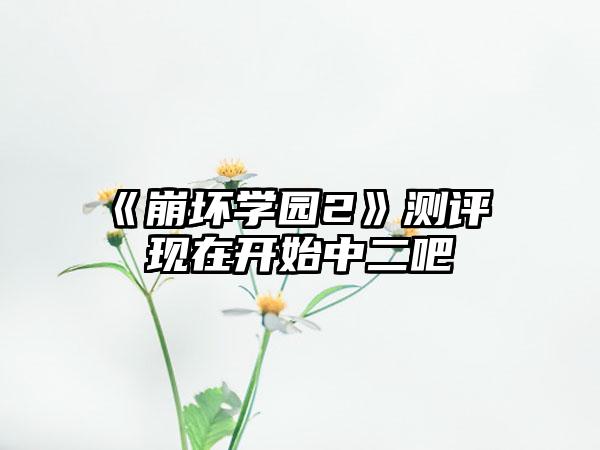 《崩坏学园2》测评 现在开始中二吧