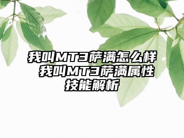 我叫MT3萨满怎么样 我叫MT3萨满属性技能解析