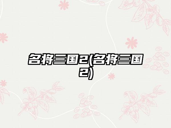 名将三国2(名将三国2)