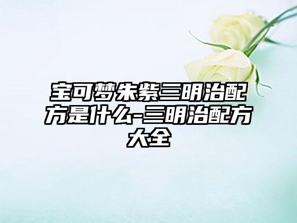 宝可梦朱紫三明治配方是什么-三明治配方大全