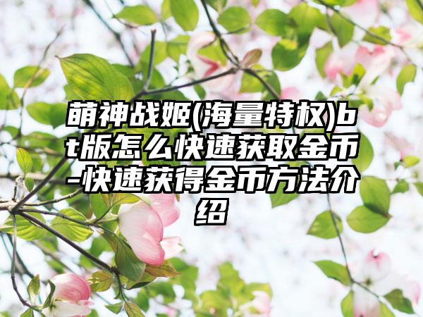 萌神战姬(海量特权)bt版怎么快速获取金币-快速获得金币方法介绍