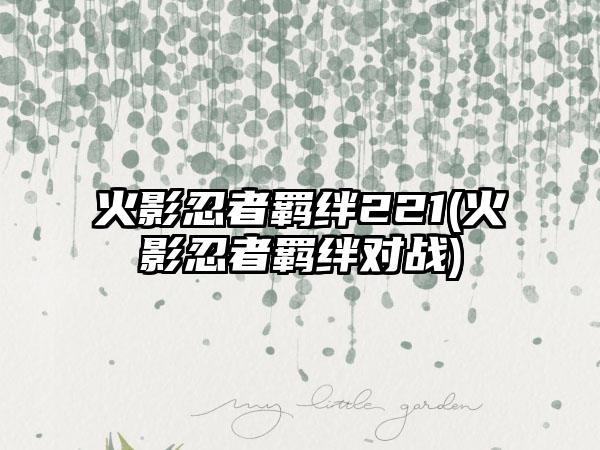 火影忍者羁绊221(火影忍者羁绊对战)