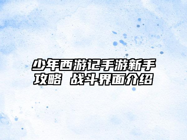 少年西游记手游新手攻略 战斗界面介绍