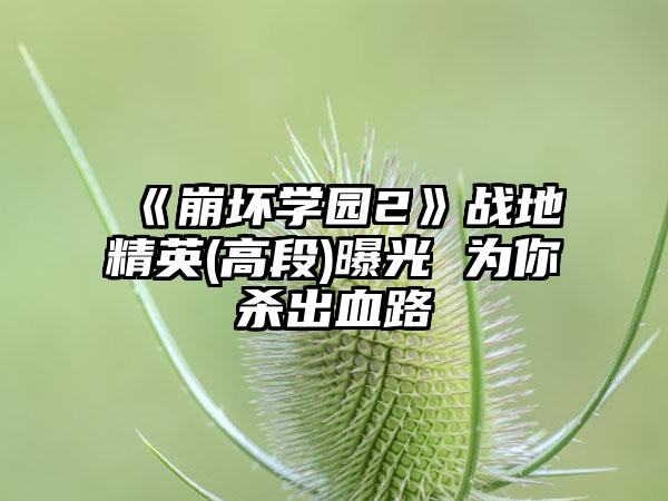 《崩坏学园2》战地精英(高段)曝光 为你杀出血路