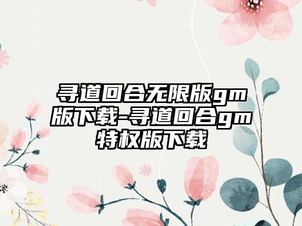 寻道回合无限版gm版下载-寻道回合gm特权版下载