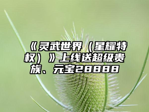《灵武世界（星耀特权）》上线送超级贵族、元宝28888
