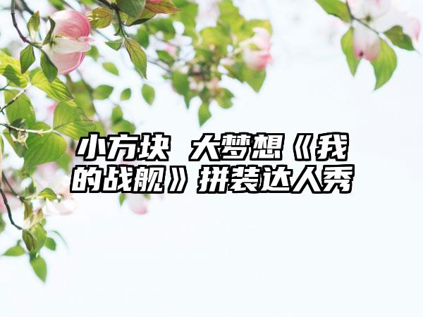 小方块 大梦想《我的战舰》拼装达人秀