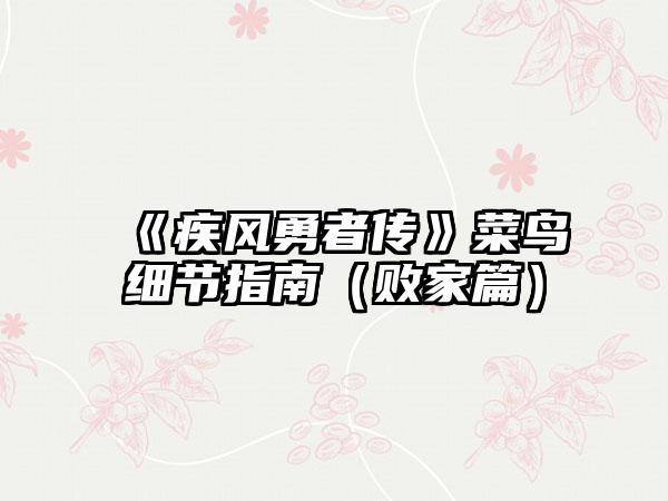 《疾风勇者传》菜鸟细节指南（败家篇）