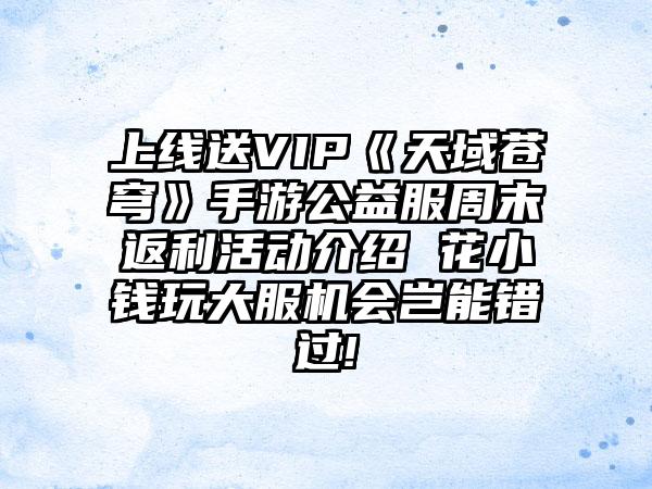 上线送VIP《天域苍穹》手游公益服周末返利活动介绍 花小钱玩大服机会岂能错过!