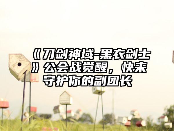 《刀剑神域-黑衣剑士》公会战觉醒，快来守护你的副团长