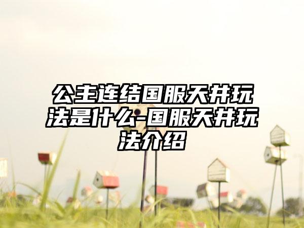 公主连结国服天井玩法是什么-国服天井玩法介绍