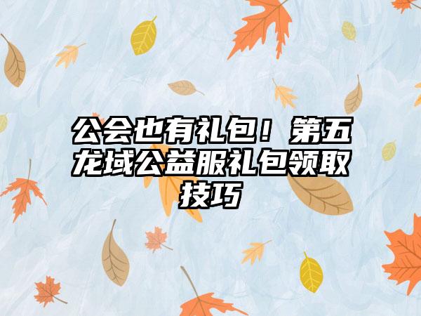 公会也有礼包！第五龙域公益服礼包领取技巧