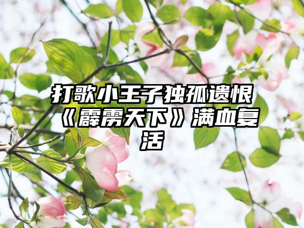 打歌小王子独孤遗恨《霹雳天下》满血复活
