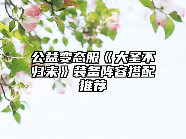 公益变态服《大圣不归来》装备阵容搭配推荐