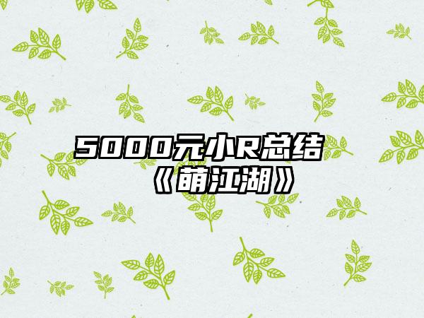 5000元小R总结《萌江湖》