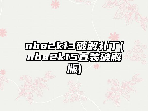 nba2k13破解补丁(nba2k15直装破解版)