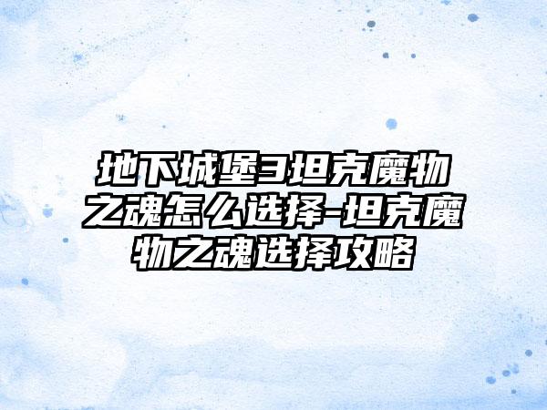 地下城堡3坦克魔物之魂怎么选择-坦克魔物之魂选择攻略