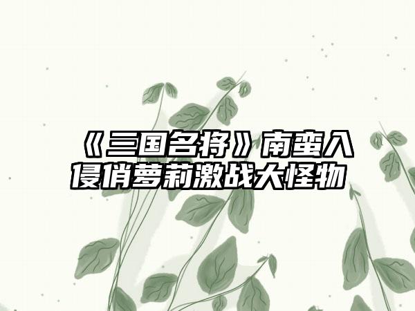 《三国名将》南蛮入侵俏萝莉激战大怪物
