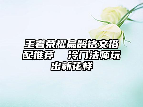 王者荣耀扁鹊铭文搭配推荐  冷门法师玩出新花样