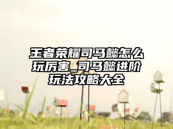 王者荣耀司马懿怎么玩厉害_司马懿进阶玩法攻略大全