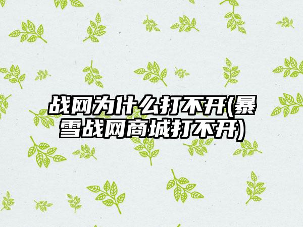 战网为什么打不开(暴雪战网商城打不开)