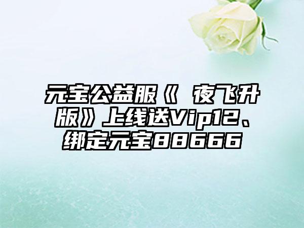 元宝公益服《將夜飞升版》上线送Vip12、绑定元宝88666