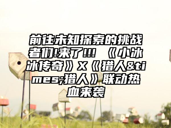 前往未知探索的挑战者们!来了!!! 《小冰冰传奇》X《猎人&times;猎人》联动热血来袭