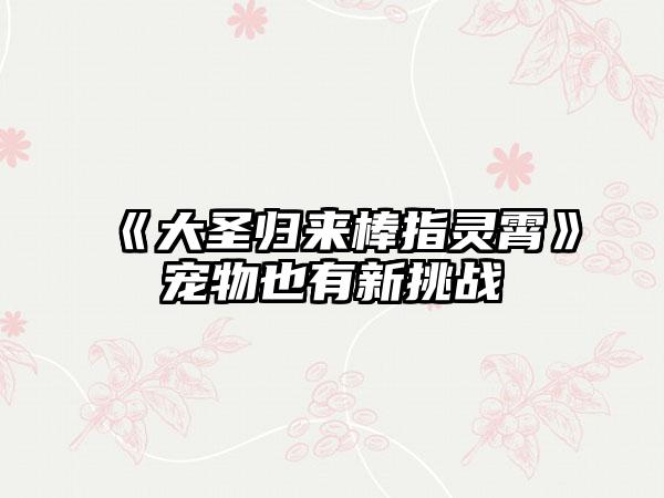 《大圣归来棒指灵霄》宠物也有新挑战
