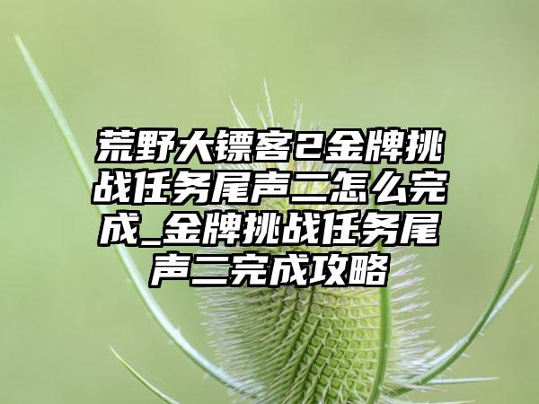 荒野大镖客2金牌挑战任务尾声二怎么完成_金牌挑战任务尾声二完成攻略