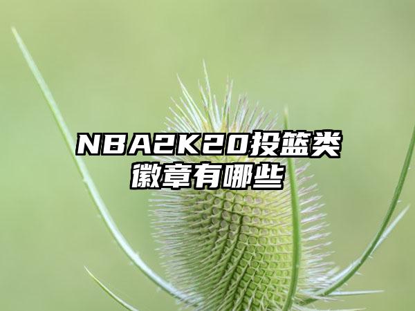 NBA2K20投篮类徽章有哪些