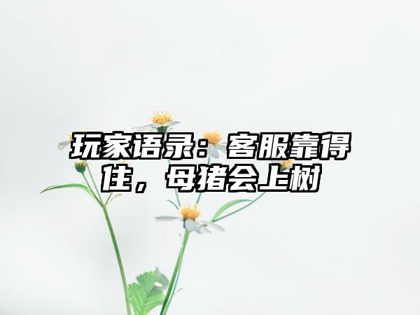 玩家语录：客服靠得住，母猪会上树