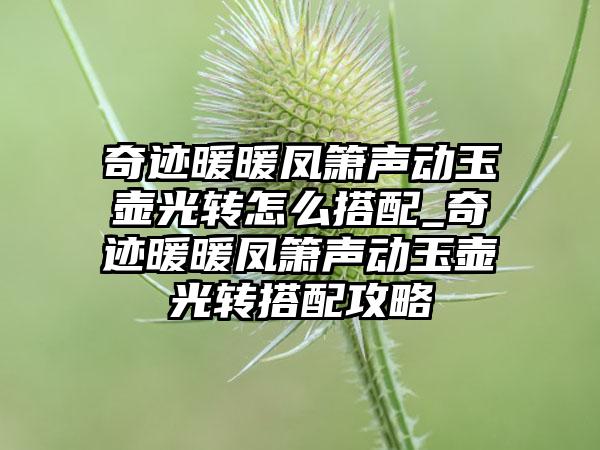 奇迹暖暖凤箫声动玉壶光转怎么搭配_奇迹暖暖凤箫声动玉壶光转搭配攻略
