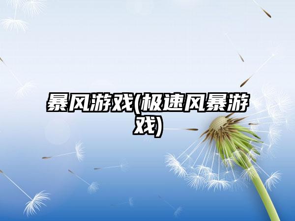 暴风游戏(极速风暴游戏)