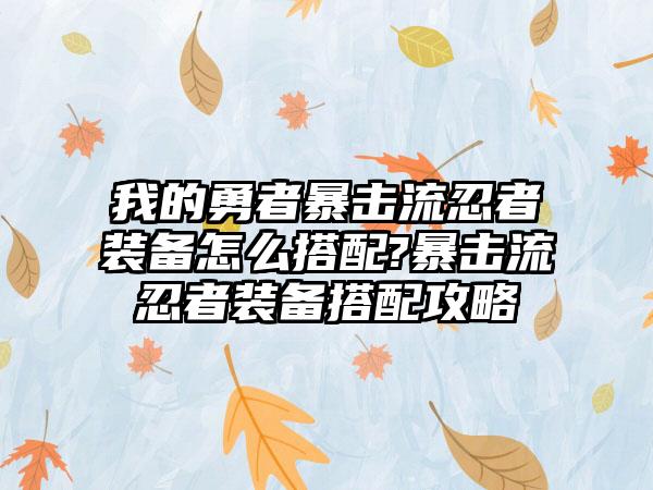 我的勇者暴击流忍者装备怎么搭配?暴击流忍者装备搭配攻略