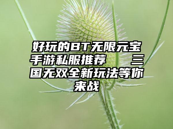 好玩的BT无限元宝手游私服推荐   三国无双全新玩法等你来战