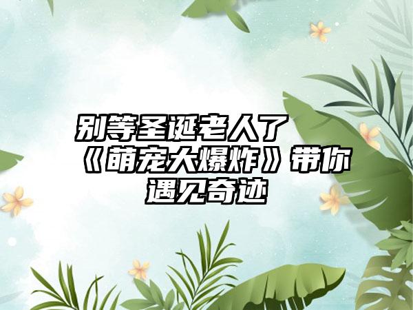 别等圣诞老人了 《萌宠大爆炸》带你遇见奇迹