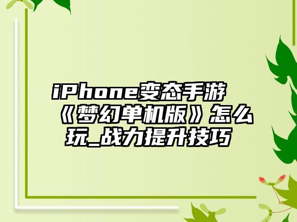 iPhone变态手游《梦幻单机版》怎么玩_战力提升技巧