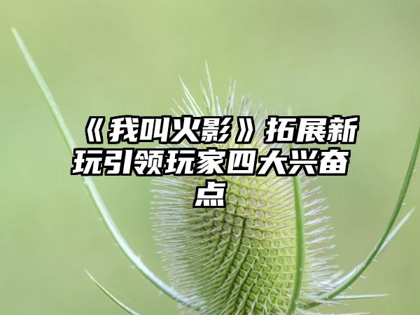 《我叫火影》拓展新玩引领玩家四大兴奋点